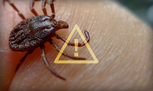 , RV Camping Prep: Battling Bugs, Sunburns and Poison Ivy