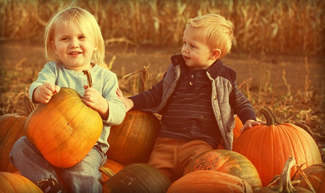 , RV Road Trip! Pumpkin Farms & Orchards