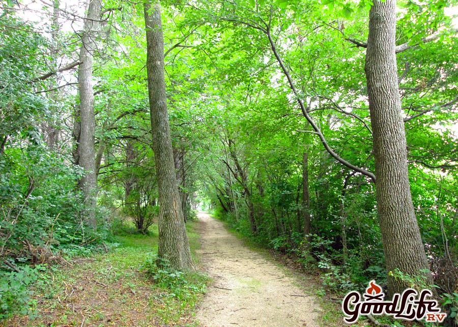Beed's Lake Campground Review Walking Path