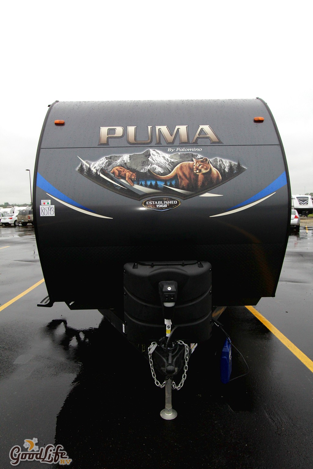 2019 puma 31qbbh